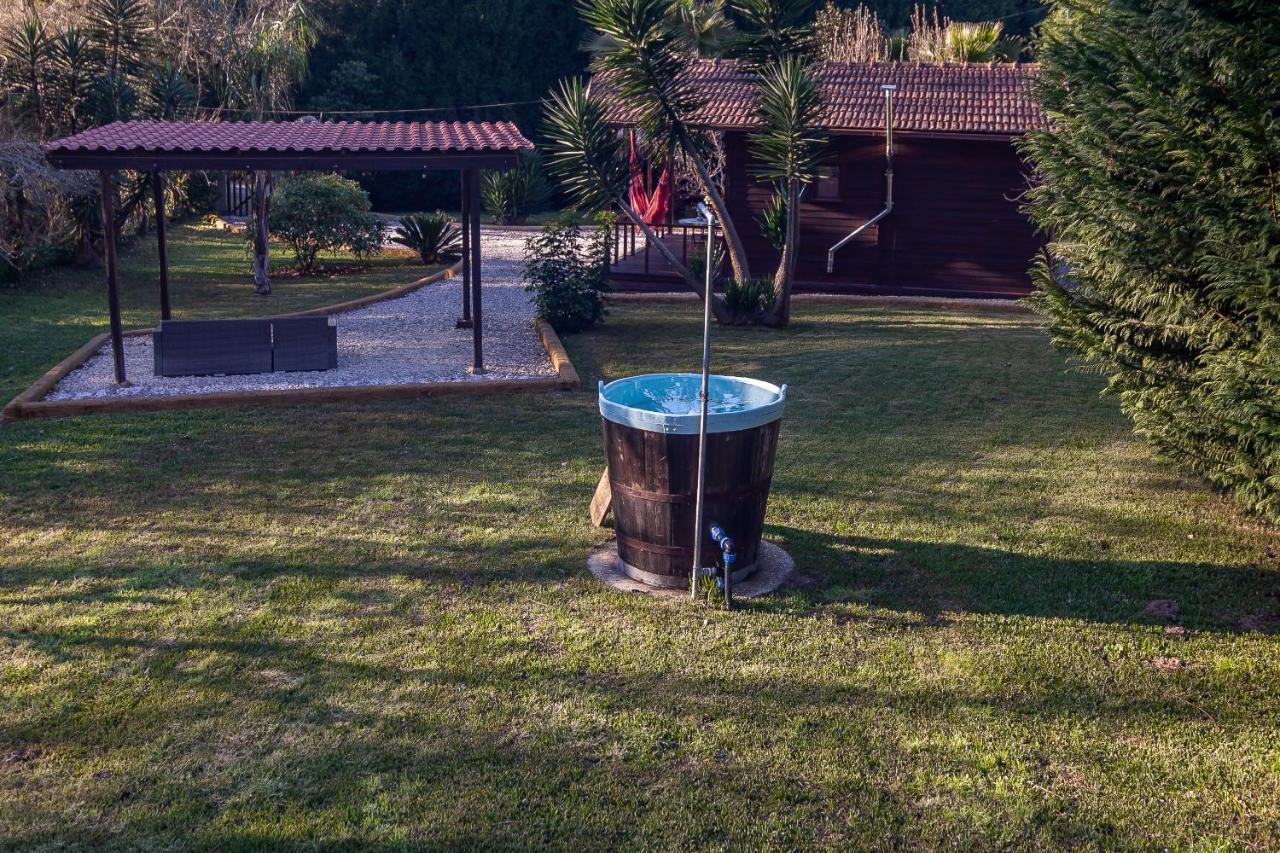 Vale Da Silva Villas - Homes Albergaria-a-Velha Exterior photo