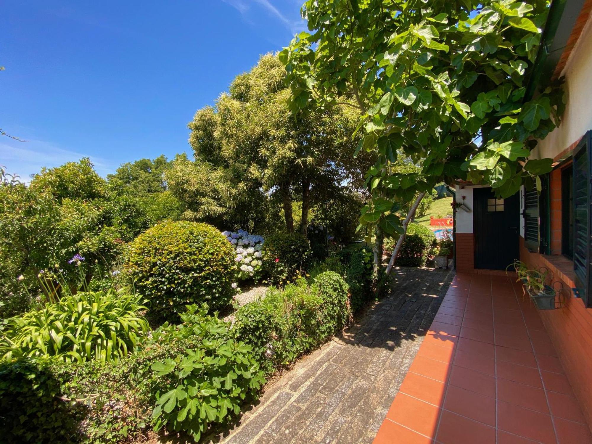 Vale Da Silva Villas - Homes Albergaria-a-Velha Room photo
